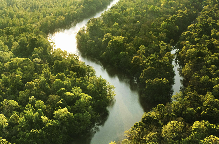 LETOU - 乐投(中文)官方网站